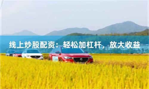 线上炒股配资：轻松加杠杆，放大收益