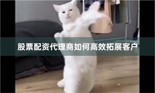 股票配资代理商如何高效拓展客户